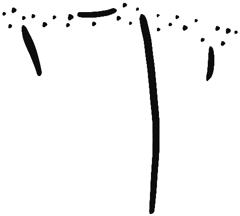 Image of the occurrence